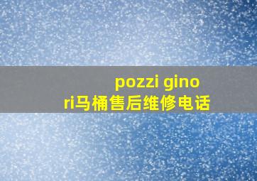 pozzi ginori马桶售后维修电话